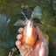 A Grade Fluffy Wen Panda Oranda Female 5-5.5 inches #110824OR_03