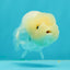 🐣 Baby Lemonhead Lionchu Female 3.5  inches #0322LC_04