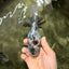 AAA Grade Calico Oranda Male 6 inches #070626OR_11