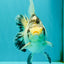 SPOOKY AAA Grade Indonesia Broadtail Diamond Scale Black White Ryukin Female 7 inches #103026RK_01