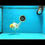 White Oranda Female 5.5 inches #111425OR_14
