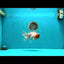 A Grade Sakura Oranda Male 6-6.5 inches #073126OR_17