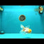 SUNNY White Oranda Female 5-5.5 inches #041026OR_08