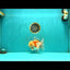 FLUFFY A Grade Red White Oranda Male 6-6.5 inches #071026OR_28