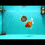 A Grade Red White Oranda Male 6.5 inches #090426OR_14