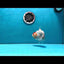 AAA Grade Light Bulb Head Shark LionQueen 4-4.5 inches #0811LC_05