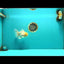 AAA Grade White Oranda Male 5.5 inches #072426OR_13