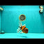 A Grade Tiger Oranda Male 6.5 inches #070626OR_19