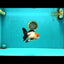 Tricolor Oranda Female 5-5.5 inches #041026OR_06