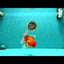 UNIQUE A Grade Red White Oranda Male 5.5 inches #070626OR_10
