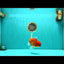 AAA Grade Red White Oranda Male 5.5-6 inches #072426OR_08