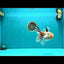 A Grade Sakura Oranda Male 6 inches #071726OR_22