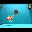 AAA Grade Red White Oranda Male 5.5-6 inches #072426OR_10
