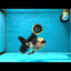A Grade Panda Oranda Male 5-5.5 inches #041125OR_04