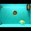 White Lionchu Female 4-4.5 Inches #100226LC_18