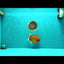 A Grade Red White Oranda Male 5.5 inches #061926OR_20
