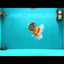 A  Grade Red White Oranda Male 5.5-6 inches #082126OR_07
