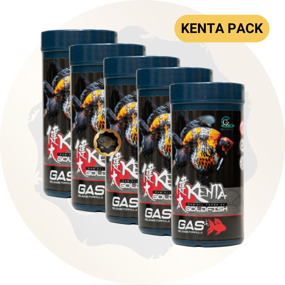 FREE SHIPPING Set of 5 Kenta Gas Release 150g 1,5mm ( Sinking Pellet )