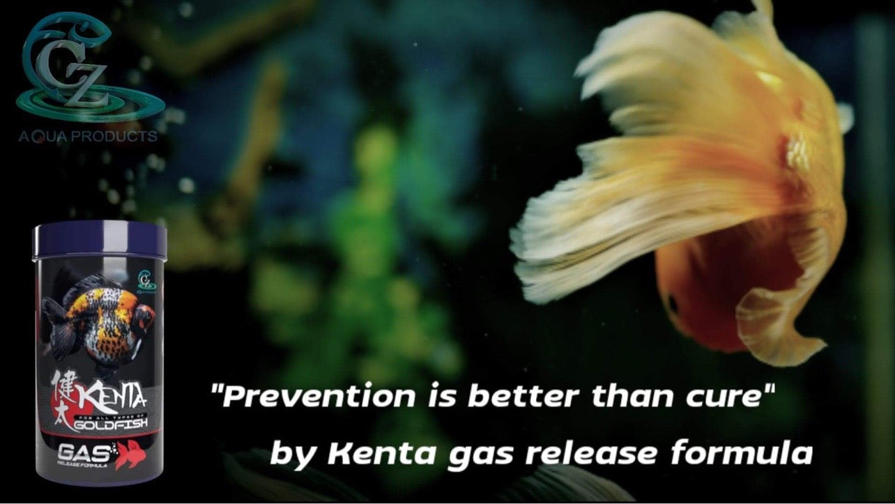 FREE SHIPPING Set of 5 Kenta Gas Release 150g 1,5mm ( Sinking Pellet )