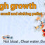 Kenta High Growth 180g ( Sinking Pellet ) 1mm